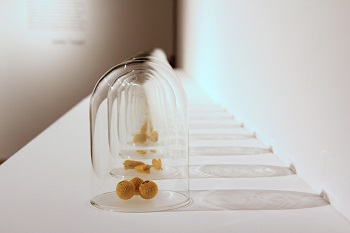 Catalog Page 5 - 1.JPG