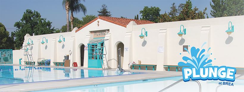 plunge website header